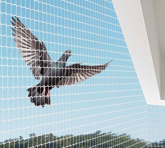 pigeon net